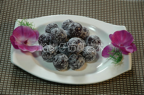 菜模型 蠟模仿真菜模型