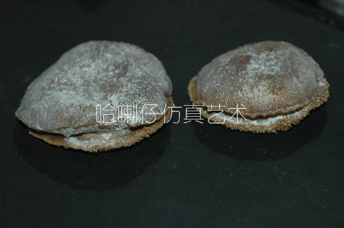 仿真鮑魚(yú)模型4